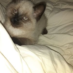 Meet your Posher, Jeff